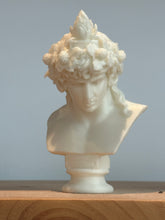 Load image into Gallery viewer, Antinous as Dionysus Bust