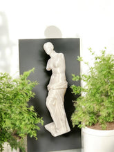 Load image into Gallery viewer, The Venus de Milo