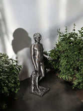 Load image into Gallery viewer, Antinous Farnese
