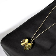 Load image into Gallery viewer, Abalone Oval Picture Locket Necklace
