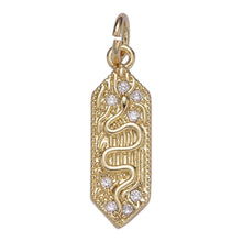 Load image into Gallery viewer, Serpent Charm Necklace
