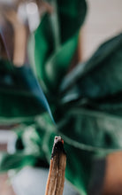 Load image into Gallery viewer, Sage and Palo Santo Bundles
